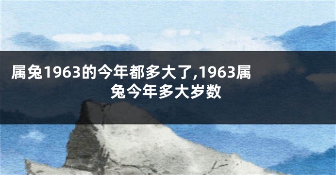 属兔1963的今年都多大了,1963属兔今年多大岁数