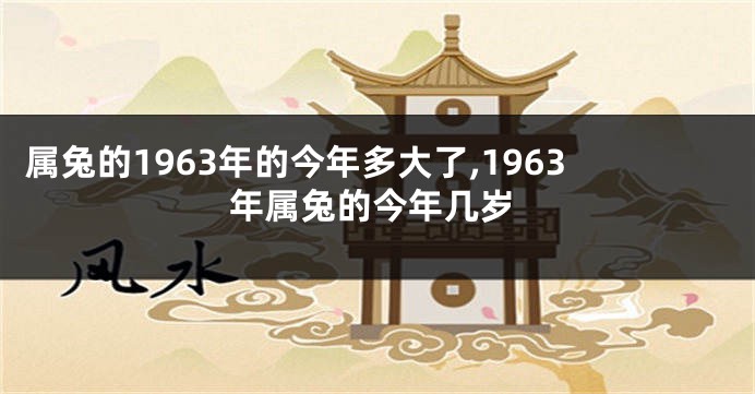 属兔的1963年的今年多大了,1963年属兔的今年几岁