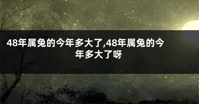 48年属兔的今年多大了,48年属兔的今年多大了呀