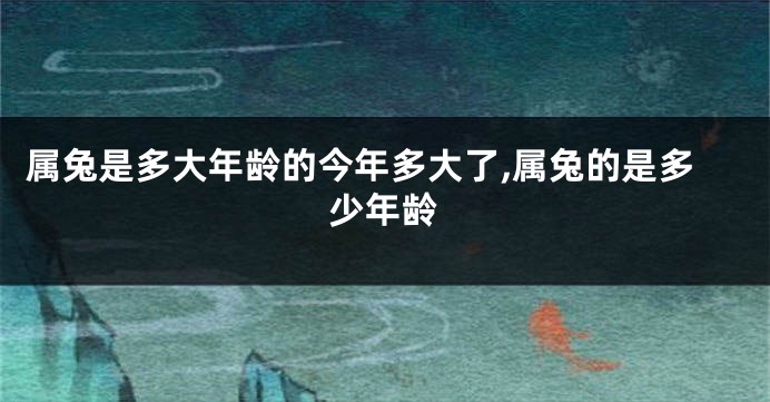 属兔是多大年龄的今年多大了,属兔的是多少年龄