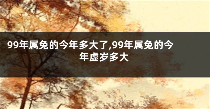 99年属兔的今年多大了,99年属兔的今年虚岁多大