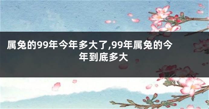 属兔的99年今年多大了,99年属兔的今年到底多大