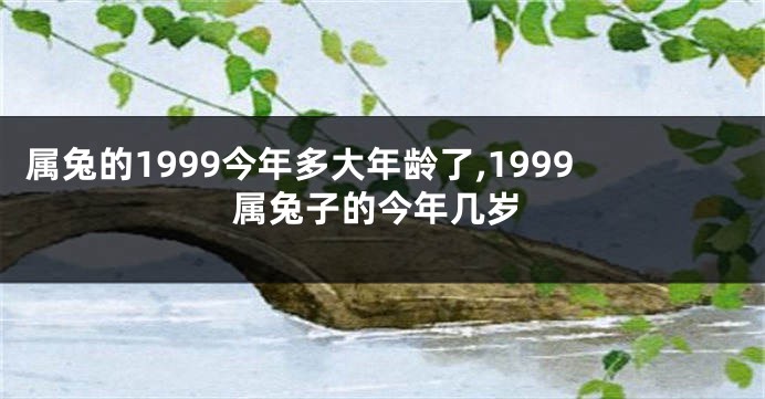 属兔的1999今年多大年龄了,1999属兔子的今年几岁