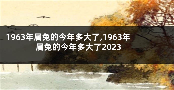 1963年属兔的今年多大了,1963年属兔的今年多大了2023