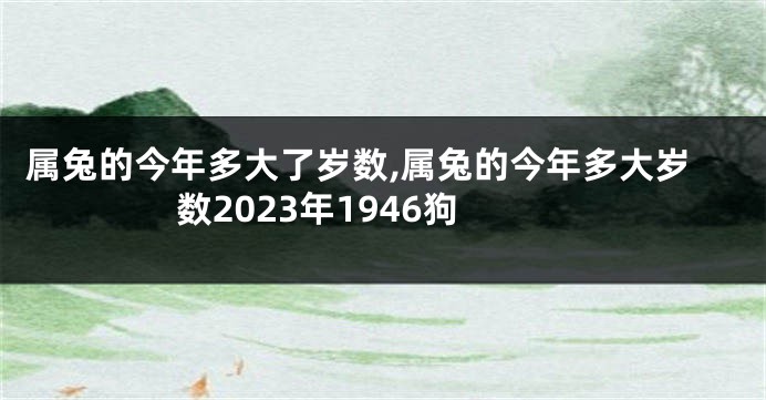 属兔的今年多大了岁数,属兔的今年多大岁数2023年1946狗