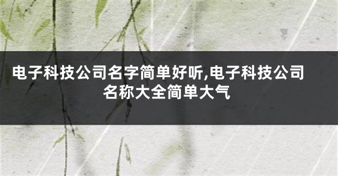 电子科技公司名字简单好听,电子科技公司名称大全简单大气