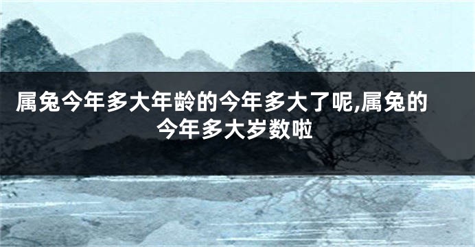 属兔今年多大年龄的今年多大了呢,属兔的今年多大岁数啦