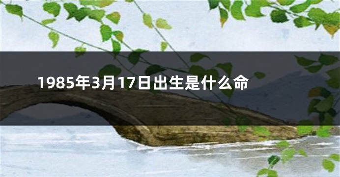 1985年3月17日出生是什么命