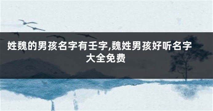 姓魏的男孩名字有壬字,魏姓男孩好听名字大全免费