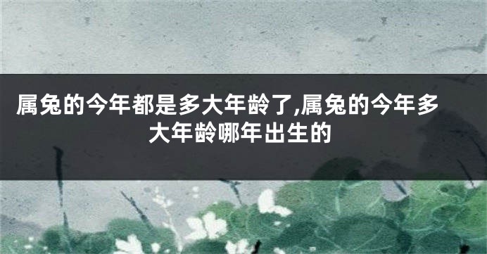 属兔的今年都是多大年龄了,属兔的今年多大年龄哪年出生的