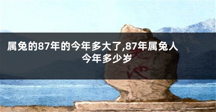 属兔的87年的今年多大了,87年属兔人今年多少岁