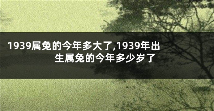 1939属兔的今年多大了,1939年出生属兔的今年多少岁了