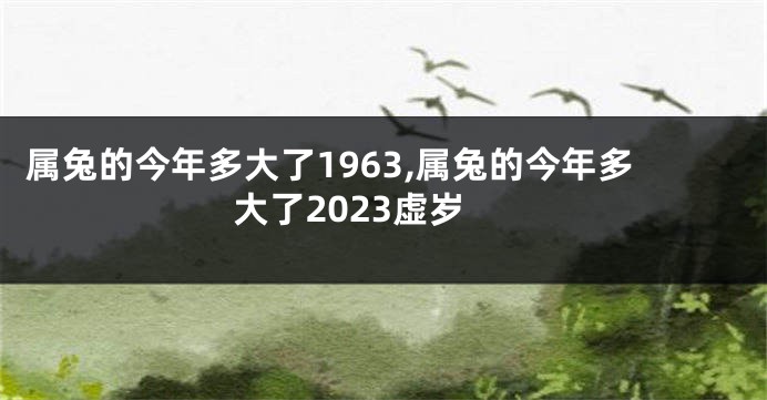 属兔的今年多大了1963,属兔的今年多大了2023虚岁