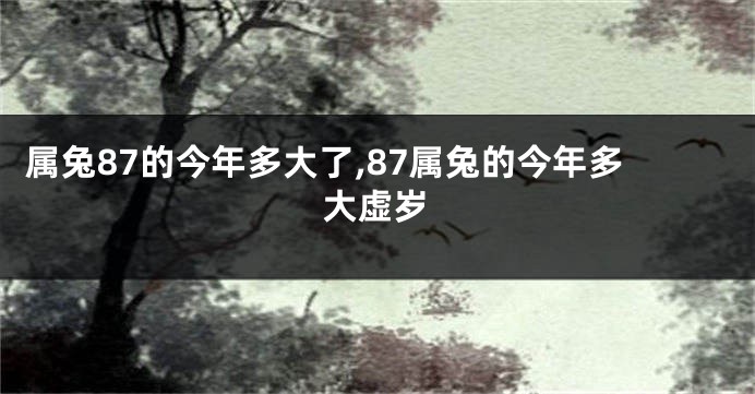 属兔87的今年多大了,87属兔的今年多大虚岁