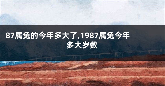 87属兔的今年多大了,1987属兔今年多大岁数