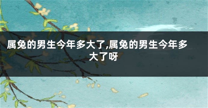 属兔的男生今年多大了,属兔的男生今年多大了呀