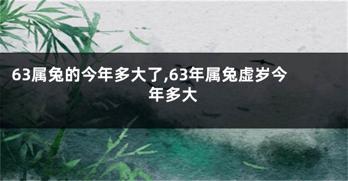 63属兔的今年多大了,63年属兔虚岁今年多大