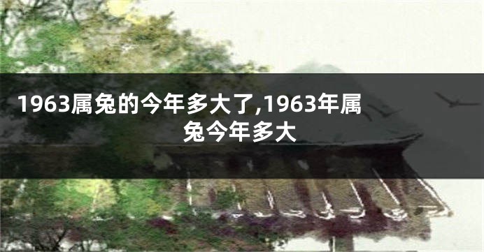 1963属兔的今年多大了,1963年属兔今年多大