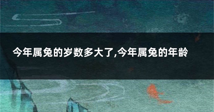 今年属兔的岁数多大了,今年属兔的年龄