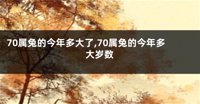 70属兔的今年多大了,70属兔的今年多大岁数