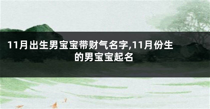 11月出生男宝宝带财气名字,11月份生的男宝宝起名