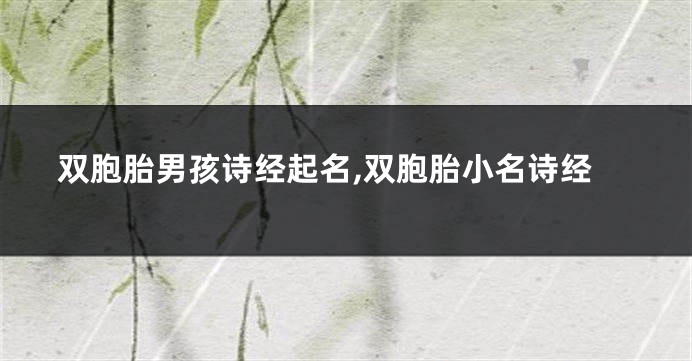 双胞胎男孩诗经起名,双胞胎小名诗经