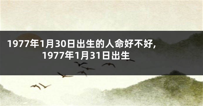 1977年1月30日出生的人命好不好,1977年1月31日出生