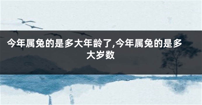 今年属兔的是多大年龄了,今年属兔的是多大岁数