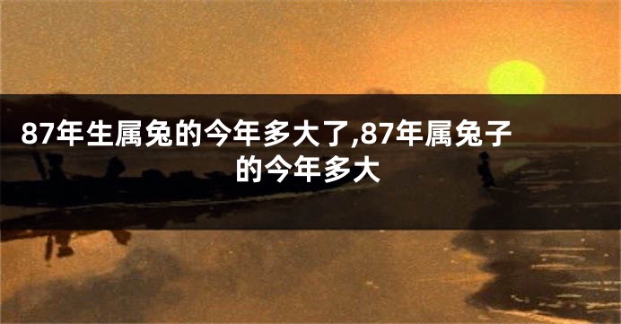 87年生属兔的今年多大了,87年属兔子的今年多大