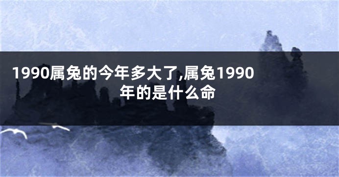 1990属兔的今年多大了,属兔1990年的是什么命