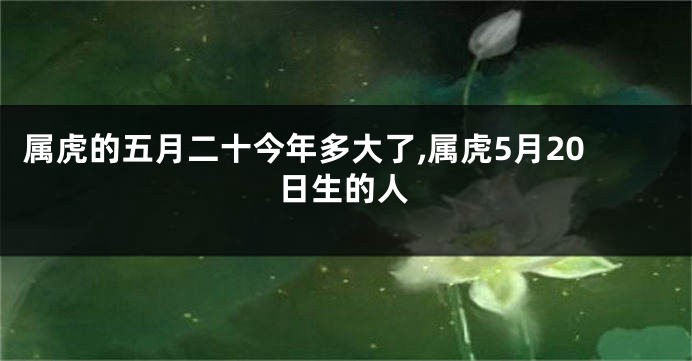 属虎的五月二十今年多大了,属虎5月20日生的人