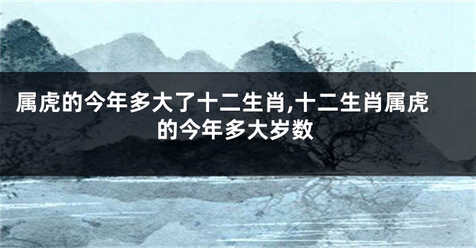 属虎的今年多大了十二生肖,十二生肖属虎的今年多大岁数