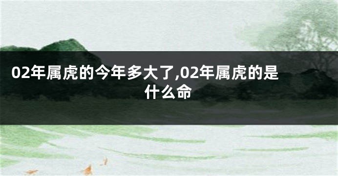 02年属虎的今年多大了,02年属虎的是什么命