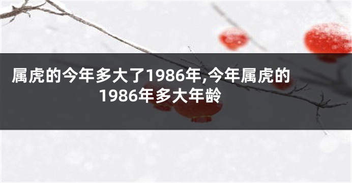 属虎的今年多大了1986年,今年属虎的1986年多大年龄