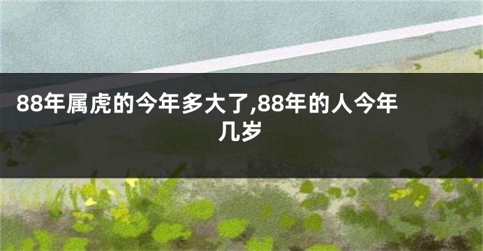 88年属虎的今年多大了,88年的人今年几岁