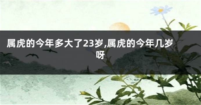 属虎的今年多大了23岁,属虎的今年几岁呀