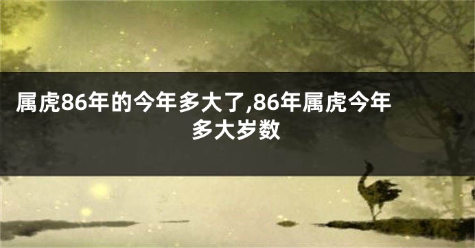 属虎86年的今年多大了,86年属虎今年多大岁数