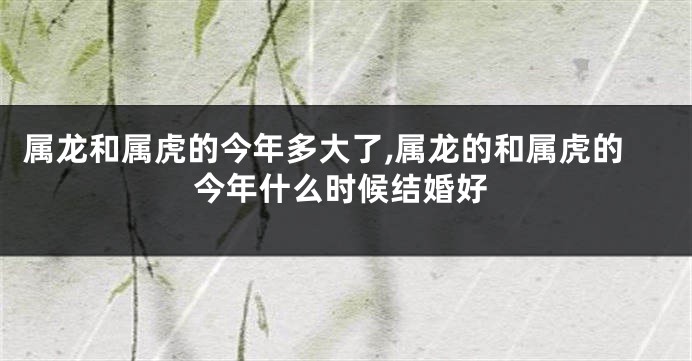 属龙和属虎的今年多大了,属龙的和属虎的今年什么时候结婚好