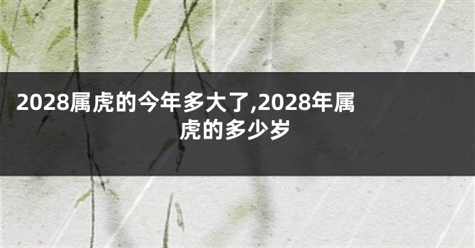 2028属虎的今年多大了,2028年属虎的多少岁