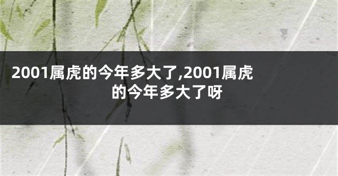 2001属虎的今年多大了,2001属虎的今年多大了呀