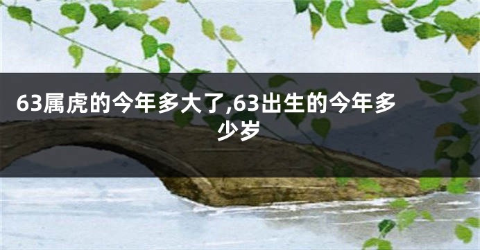 63属虎的今年多大了,63出生的今年多少岁