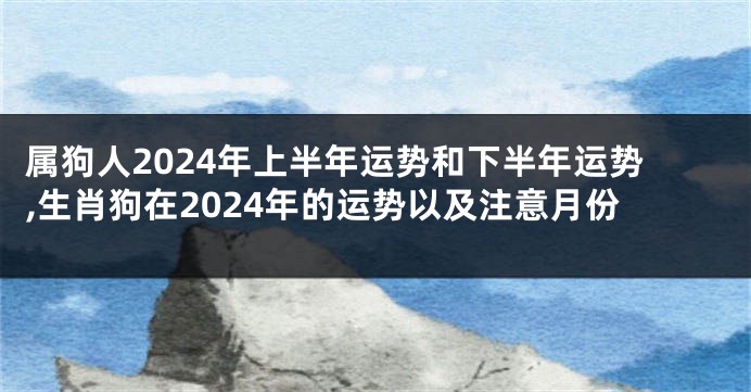 属狗人2024年上半年运势和下半年运势,生肖狗在2024年的运势以及注意月份