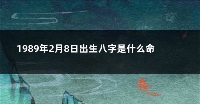 1989年2月8日出生八字是什么命