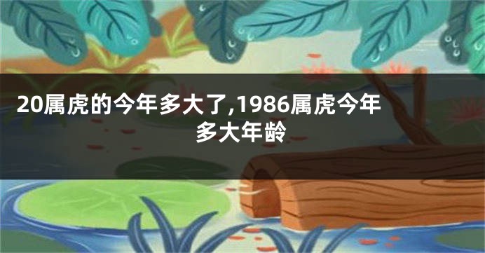 20属虎的今年多大了,1986属虎今年多大年龄