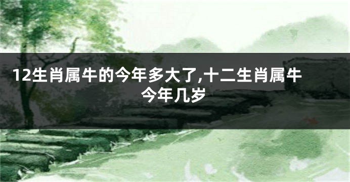 12生肖属牛的今年多大了,十二生肖属牛今年几岁