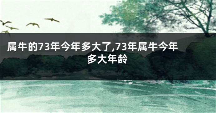 属牛的73年今年多大了,73年属牛今年多大年龄