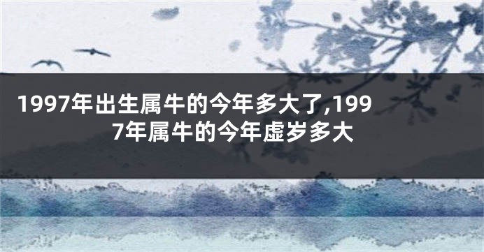 1997年出生属牛的今年多大了,1997年属牛的今年虚岁多大