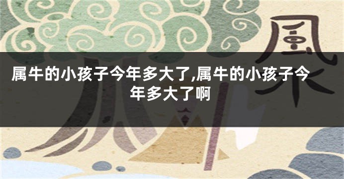 属牛的小孩子今年多大了,属牛的小孩子今年多大了啊