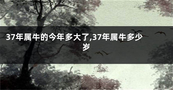 37年属牛的今年多大了,37年属牛多少岁