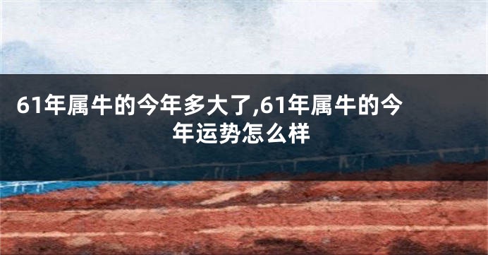 61年属牛的今年多大了,61年属牛的今年运势怎么样